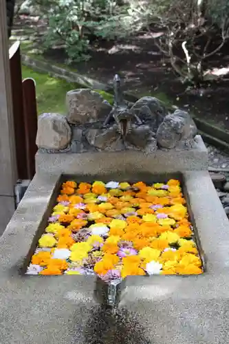 村雲御所瑞龍寺門跡(滋賀県)