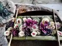 立志神社の手水舎