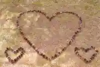 伊達神社(北海道)