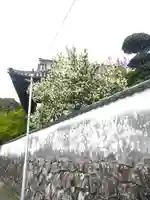 阿智神社の周辺