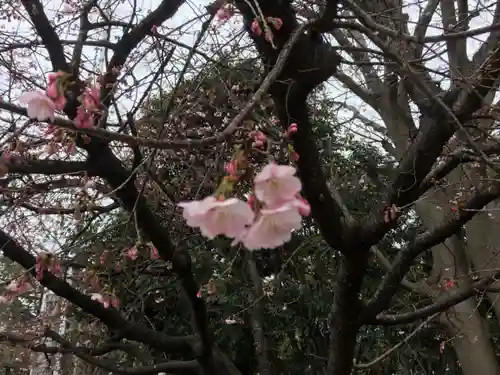 高取神明宮の自然