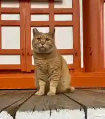 竜泉寺の動物