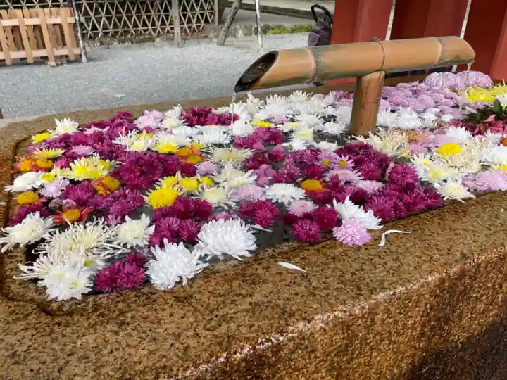 鶴岡八幡宮の手水舎