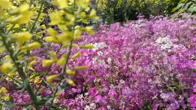 六孫王神社(京都府)