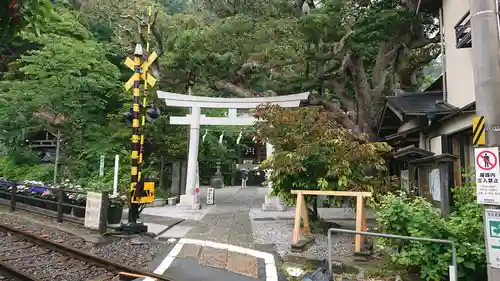 御霊神社の鳥居