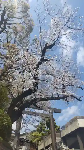 伊勢山皇大神宮(神奈川県)
