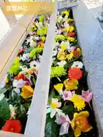 豊景神社の手水舎