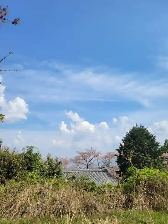 勝持寺(花の寺)(京都府)