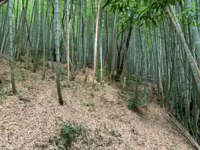 寺院(名称不明)(千葉県)