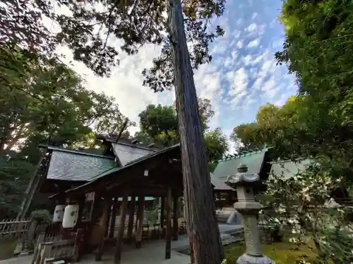 木嶋坐天照御魂神社(京都府)