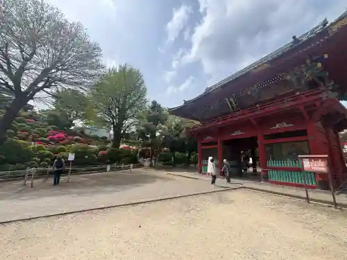 根津神社の{uncategorized: "未分類", other: "その他", undefined: "問題あり", building: "その他建物", grave: "お墓", sacred_gate: "鳥居", guardian: "狛犬", statue: "像", buddha: "仏像", history: "歴史", nature: "自然", garden: "庭園", animal: "動物", pagoda: "塔", temizu: "手水舎", mountain_gate: "山門・神門", sanctuary: "本殿・本堂", subordinate: "末社・摂社", art: "芸術", scenery: "景色", jizo: "地蔵", ema: "絵馬", goshuin: "御朱印", omikuji: "おみくじ", items: "授与品その他", amulet: "お守り", goshuincho: "御朱印帳", eats: "食事", festival: "お祭り", votive_dance: "神楽", shichigosan: "七五三参", wedding: "結婚式", experience: "体験その他", initially: "初詣", around: "周辺", anti_infection: "感染症対策"}