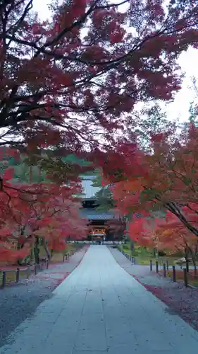 南禅寺の景色