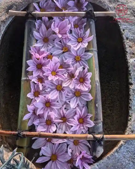 立志神社(滋賀県)