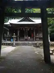 仁井田神社の鳥居