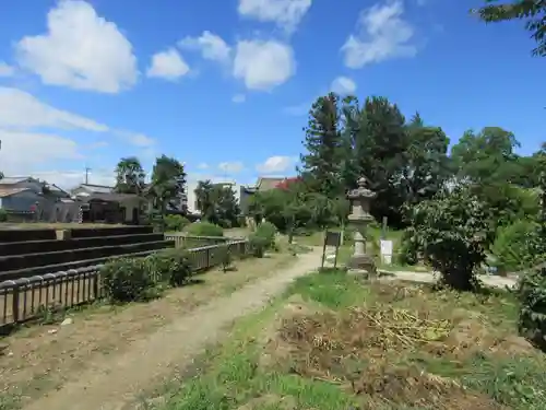 般若寺 ❁﻿コスモス寺❁(奈良県)
