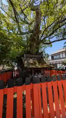 藤木社（賀茂別雷神社末社）(京都府)