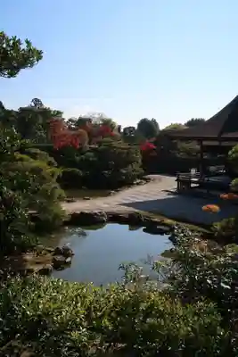 仁和寺(京都府)