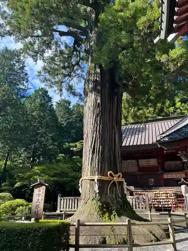 北口本宮冨士浅間神社(山梨県)