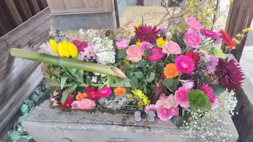 勝林寺(京都府)