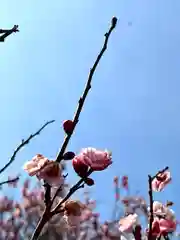 眞田神社の自然