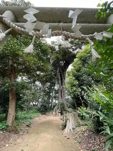 雷神社(千葉県)