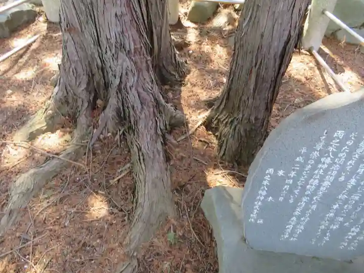 両之木八幡宮の自然