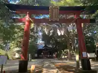 氷川女體神社の鳥居