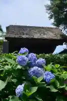 極楽寺(霊鷲山感應院極楽律寺)の庭園