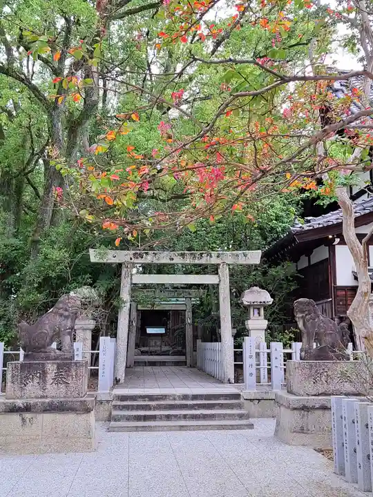 桑名宗社(春日神社)(三重県)