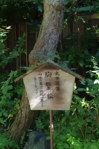 水稲荷神社の歴史