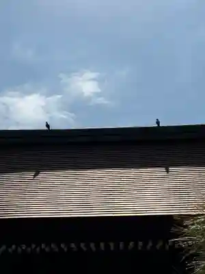 城南宮(京都府)