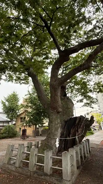 阿邪訶根神社(福島県)