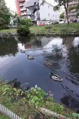 善知鳥神社(青森県)