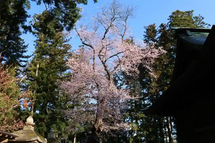 田村神社の自然