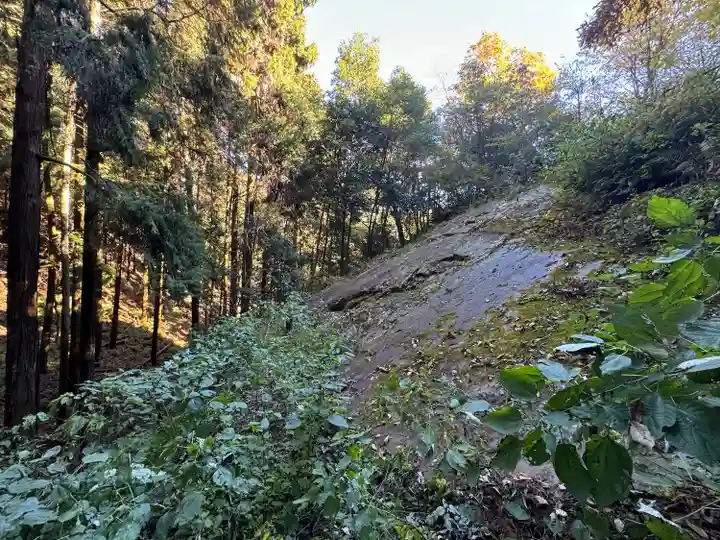 武蔵二宮 金鑚神社(埼玉県)