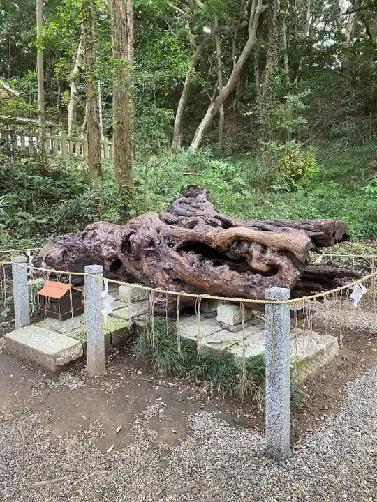 泉神社(茨城県)