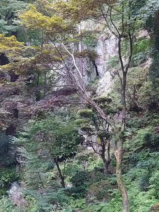 内々神社の景色