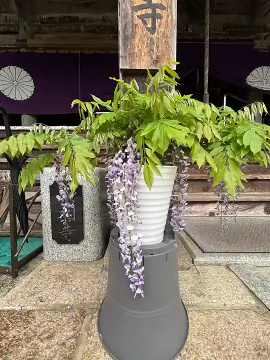成相寺(京都府)