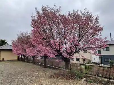 圓徳寺(埼玉県)