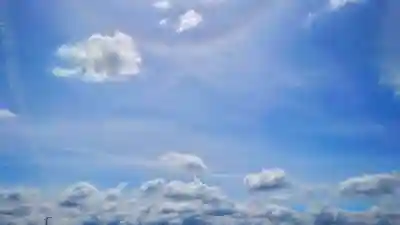 白山社(井堀)の景色