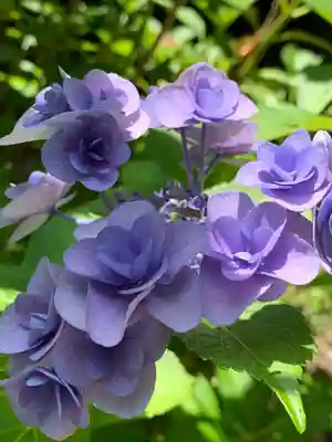 陽林寺(福島県)