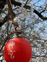 桜神宮(東京都)