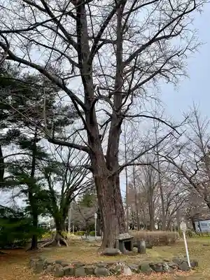 陸奥国分寺薬師堂(宮城県)