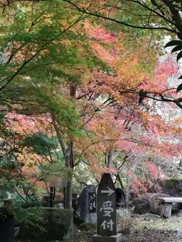 五所駒瀧神社の庭園