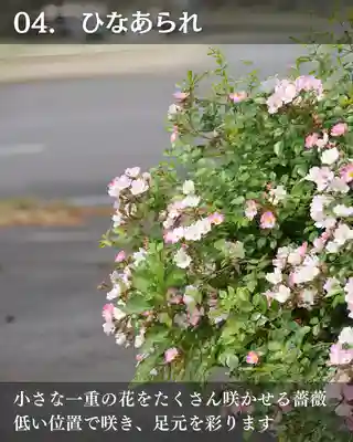 宝光寺(北海道)