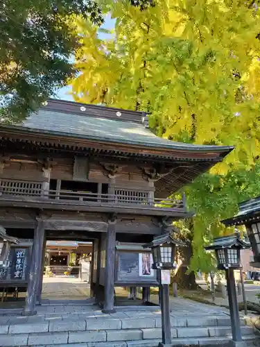 今宮神社の山門