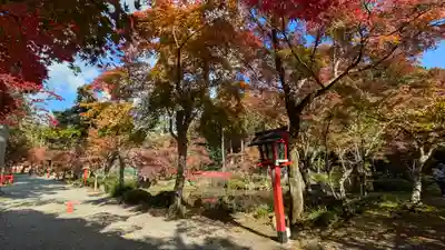 大原野神社(京都府)