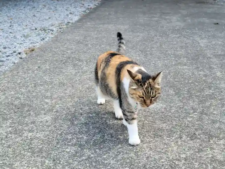 前玉神社の動物