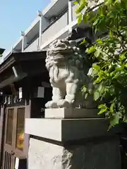 神楽坂若宮八幡神社の狛犬