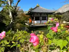 法華寺(奈良県)